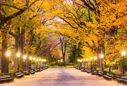 Central Park u New Yorku osvaja svojom ljepotom i prirodom