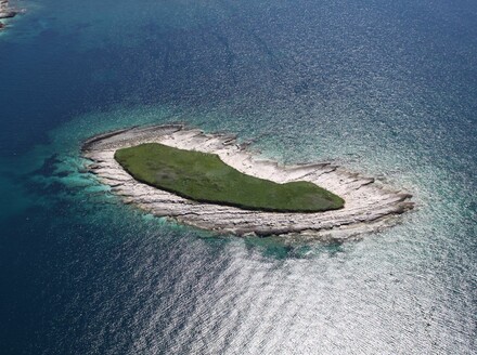 Kviz općeg znanja - 7