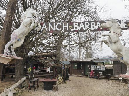 Ranch Barba Tone - 11