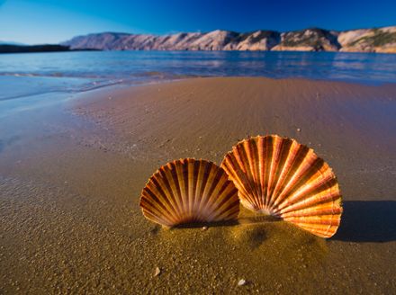 Kvarnerska pješčana plaža koja ima sve što godišnji odmor može poželjeti