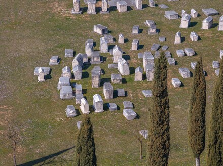 Nekropola Radimlja - 8