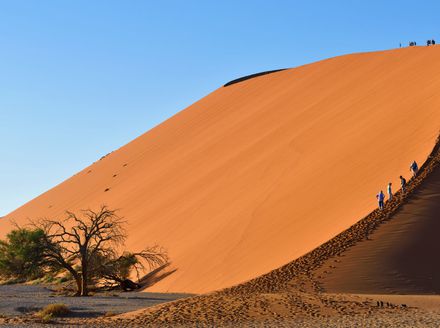 Pješčane dine u Namibiji - 3