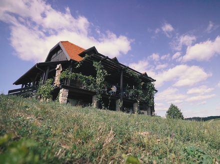 Vinarija Bolfan nalazi se na samom vrhu s prekrasnim pogledom na krajolik