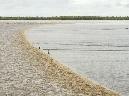 Plimni val pororoca u Brazilu na rijeci Amazoni - 1