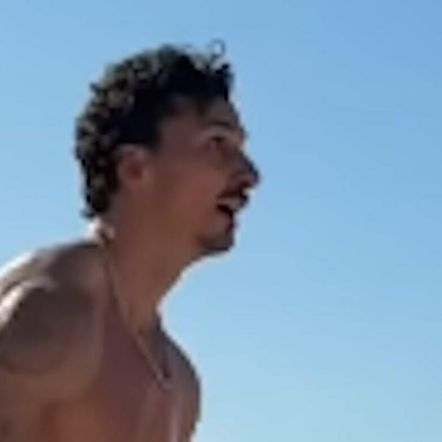 Zlatan Ibrahimović - 4