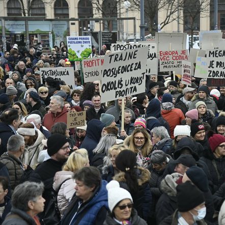 Prosvjed protiv gradnje velikih farmi i klaonica pilića u Sisačko-moslavačkoj županiji - 6