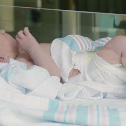 Demografski porast - 3