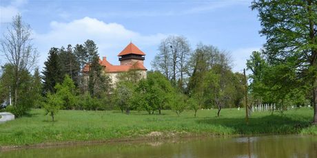Dubovac - 2
