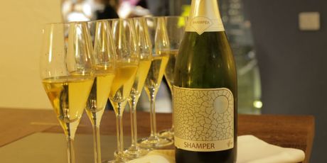Shamper - 6