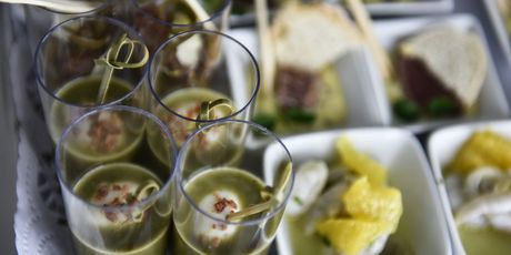 Dubrovnik FestiWine Gala - 10
