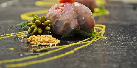 Aminess Wine and Gourmet