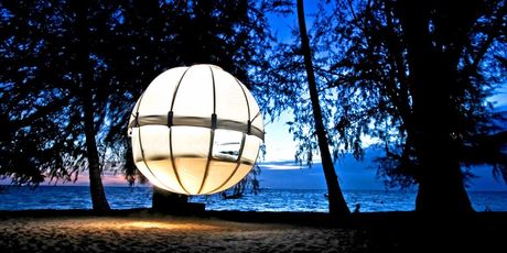 Cocoon Tree