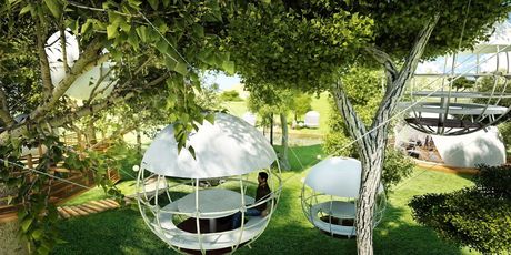 Cocoon Tree - 5