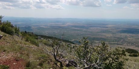 Pogled s Promine