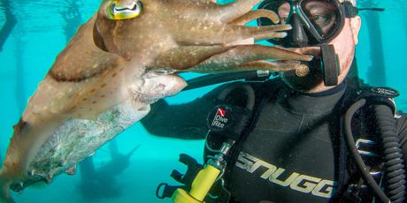 Ronilac snimio selfieje s morskim životinjama (Foto: Profimedia)