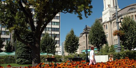 Parkovi i crkve
