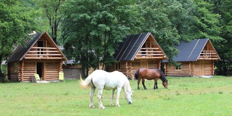 Drvene brvnare opremljene su sa 12 ležajeva
