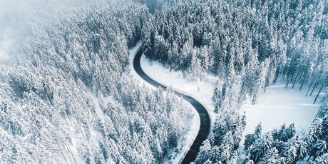 Pokljuka