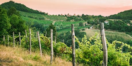 Emilia Romagna - 3