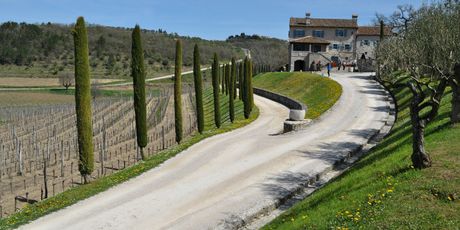 Sweet Wine and Walk - 18
