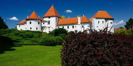 Dani okusa varaždinskoga kraja - 2