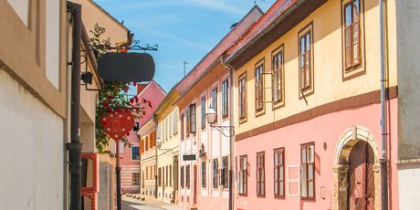 Dani okusa varaždinskoga kraja - 4