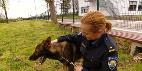 Iz skloništa za životinje u Policijsku akademiju (Foto: Dnevnik.hr) - 3