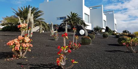 Lanzarote - 17