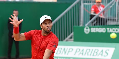Fernardo Verdasco (Foto: AFP)