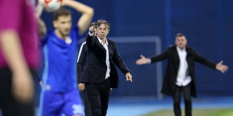 Trener Dinama Nikola Jurčević (Photo: Luka Stanzl/PIXSELL)