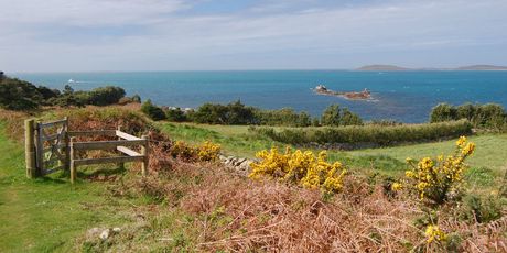 Scilly - 1