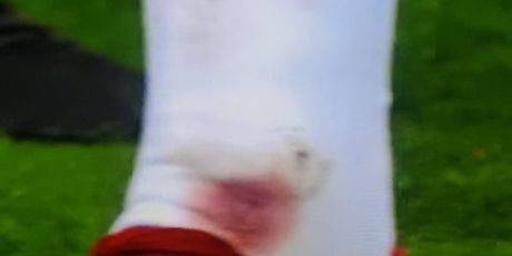 Mario Mandžukić (Foto: Twitter)