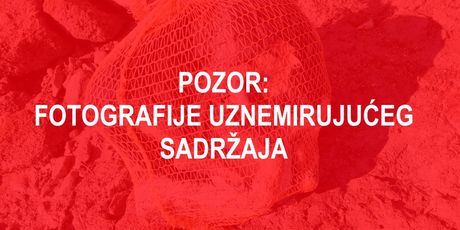 Na porečkoj plaži pronađen mrtav psić u vreći za krumpire (Foto: Facebook/Dnevna dora Porečana/Dnevnik.hr)