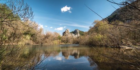 Cetina