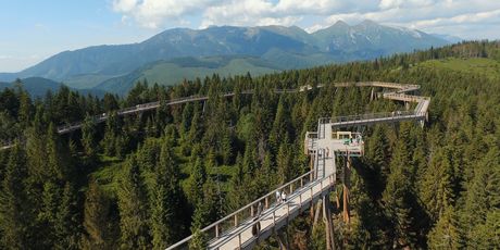 Treetop Walk Pohorje - 7