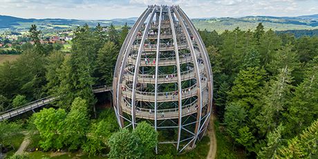 Treetop Walk Pohorje - 8