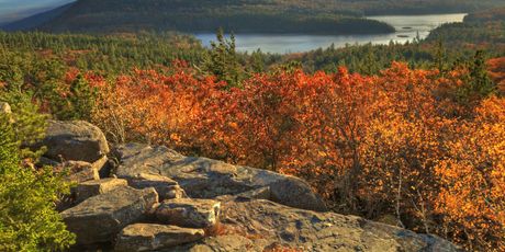 Catskill planine