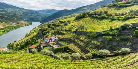 Portugal - 4