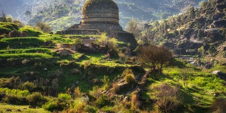 Pakistan