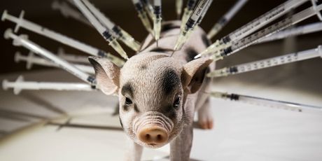 Pretjerana upotreba antibiotika