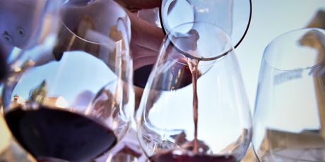 FestiWine