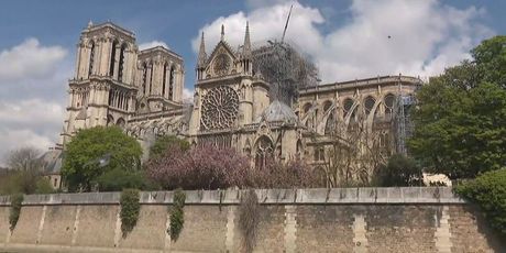 Katedrala Notre-Dame (Foto: Dnevnik.hr)