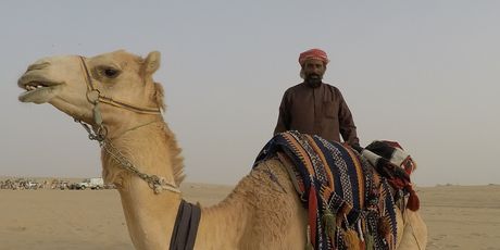 Dobri beduin Muhamed