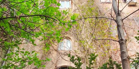 Bacchus jazz bar (Snimljeno sa Samsung Galaxy S10)