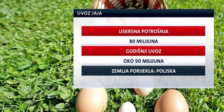Graf za uvoz jaja (Foto: Dnevnik.hr)