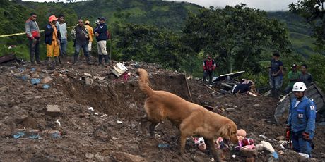 U odronu zemlje u Kolumbiji zatrpano osam kuća (Foto: AFP) - 3