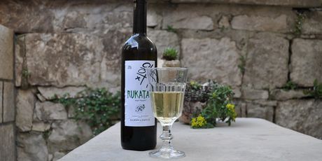 Eko Škoj - 1