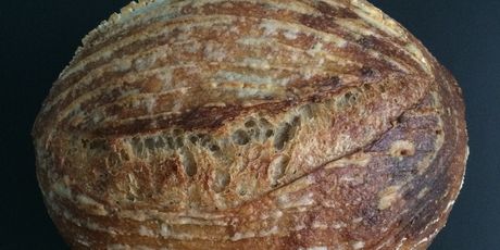 Sourdough - 1
