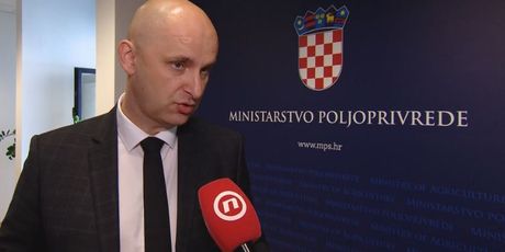 Tomislav Tolušić (Foto: Dnevnik.hr)