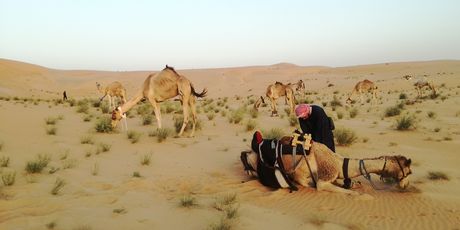 Rub al Khali - 5